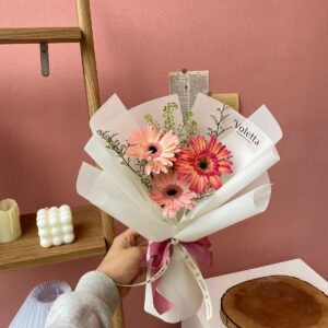 Gerbera