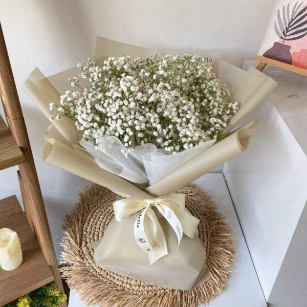 Small Baby's Breath