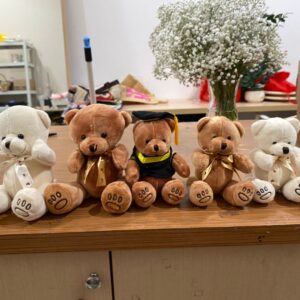 Add on Teddy Kecil Polos