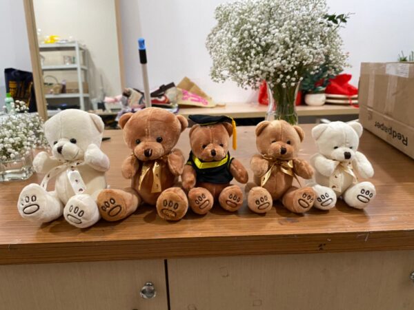 Add on Teddy Besar Polos