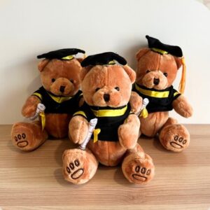 Add on Teddy Graduation