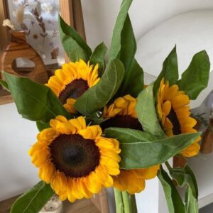 Add on Sunflower